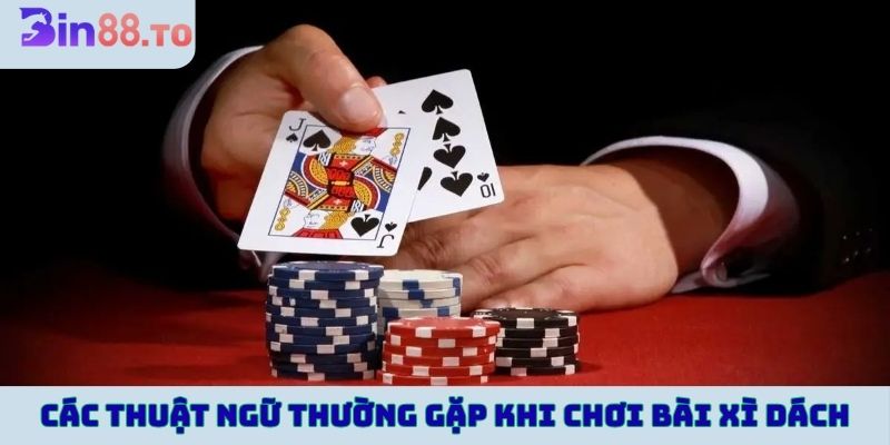 Các thuật ngữ thường gặp khi chơi bài xì dách tại Bin88