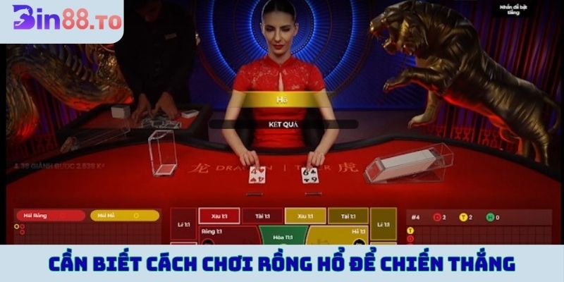 Người chơi cần biết cách chơi rồng hổ để chiến thắng 