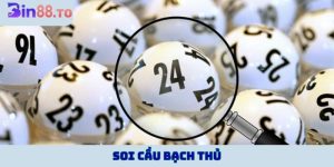 Soi cầu bạch thủ