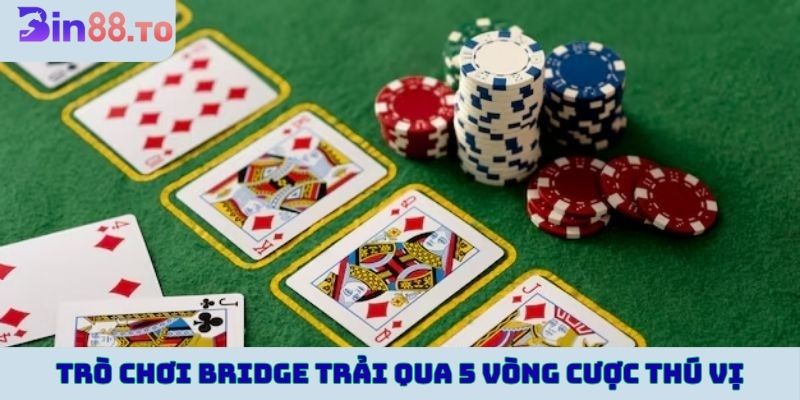 Trò chơi Bridge trải qua 5 vòng cược thú vị