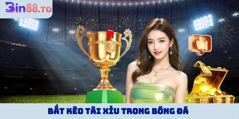 Bắt kèo tài xỉu trong bóng đá trực tuyến